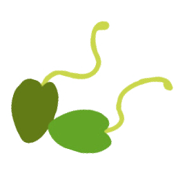 bohnen2